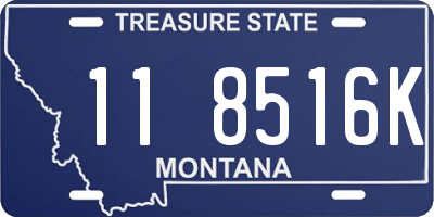 MT license plate 118516K