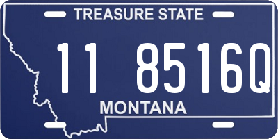 MT license plate 118516Q