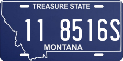 MT license plate 118516S