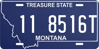 MT license plate 118516T