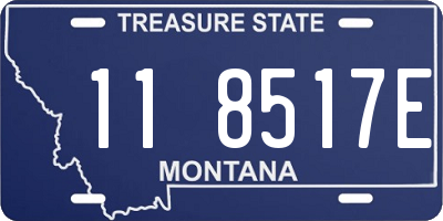 MT license plate 118517E