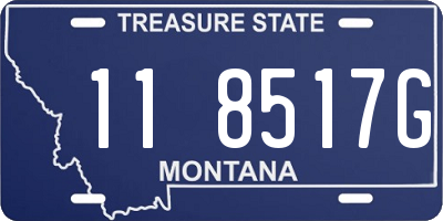 MT license plate 118517G