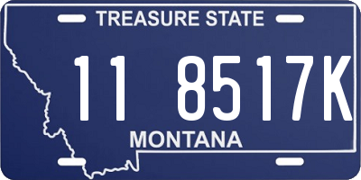 MT license plate 118517K