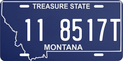 MT license plate 118517T