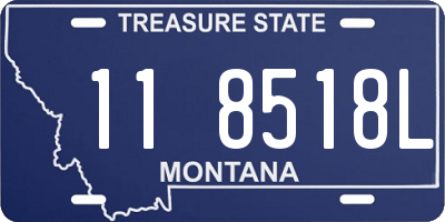 MT license plate 118518L