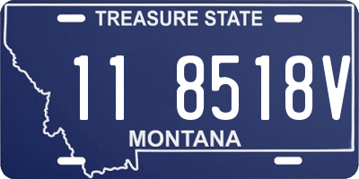 MT license plate 118518V