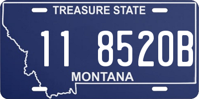 MT license plate 118520B
