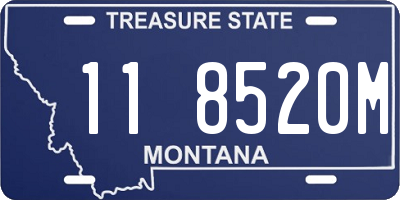 MT license plate 118520M