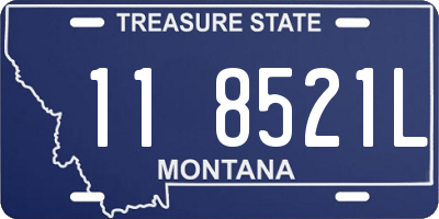 MT license plate 118521L