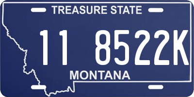 MT license plate 118522K