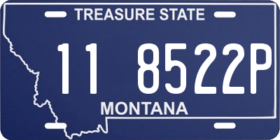 MT license plate 118522P