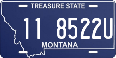 MT license plate 118522U