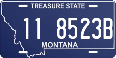 MT license plate 118523B