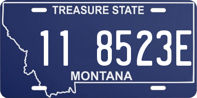 MT license plate 118523E