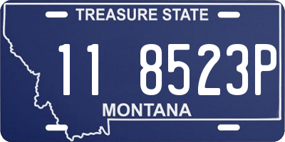 MT license plate 118523P