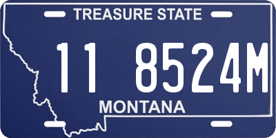 MT license plate 118524M