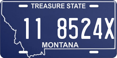 MT license plate 118524X