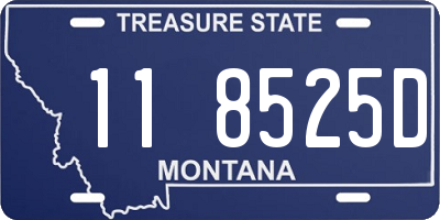 MT license plate 118525D