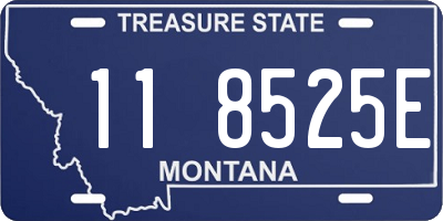 MT license plate 118525E