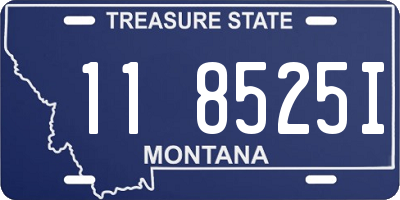 MT license plate 118525I