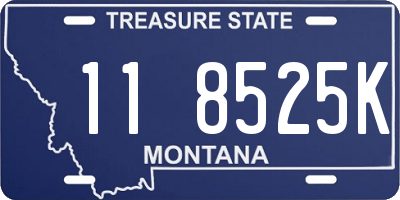 MT license plate 118525K
