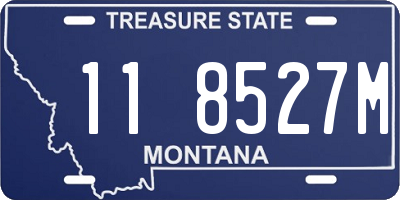 MT license plate 118527M