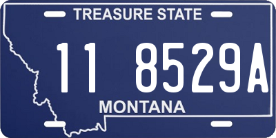 MT license plate 118529A