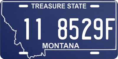 MT license plate 118529F