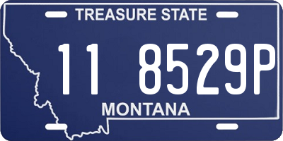 MT license plate 118529P
