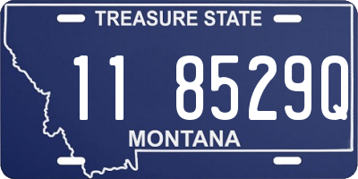 MT license plate 118529Q