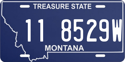 MT license plate 118529W