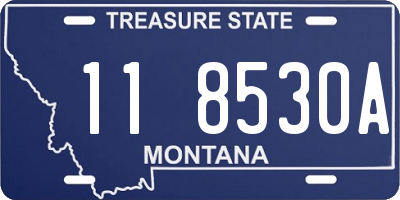 MT license plate 118530A