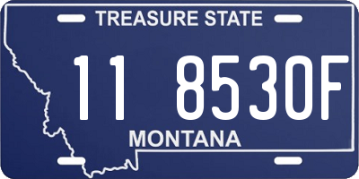 MT license plate 118530F