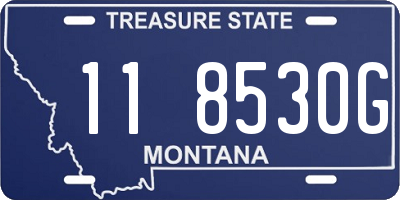 MT license plate 118530G