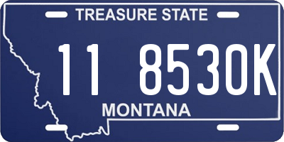 MT license plate 118530K