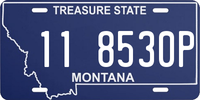 MT license plate 118530P