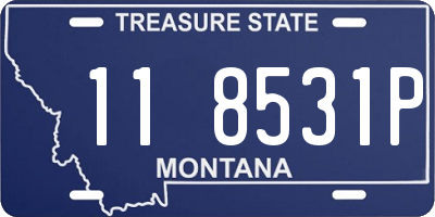 MT license plate 118531P