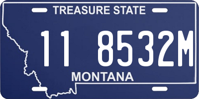 MT license plate 118532M