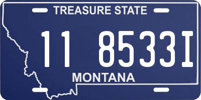 MT license plate 118533I