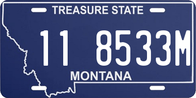MT license plate 118533M