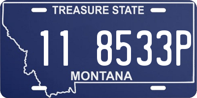 MT license plate 118533P