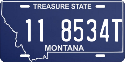 MT license plate 118534T