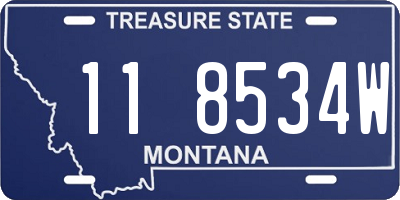 MT license plate 118534W