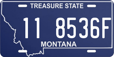 MT license plate 118536F