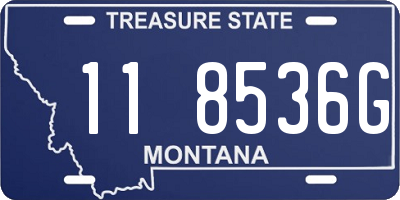 MT license plate 118536G