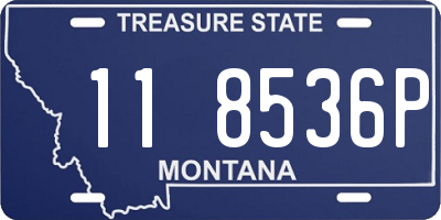 MT license plate 118536P