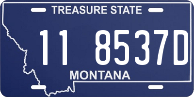 MT license plate 118537D