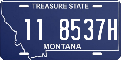 MT license plate 118537H