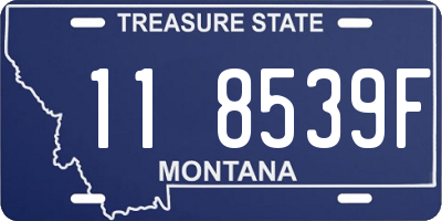 MT license plate 118539F