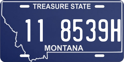 MT license plate 118539H